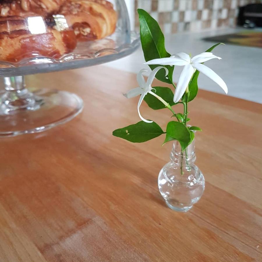 The Jasmine House Villa Préveza Kültér fotó
