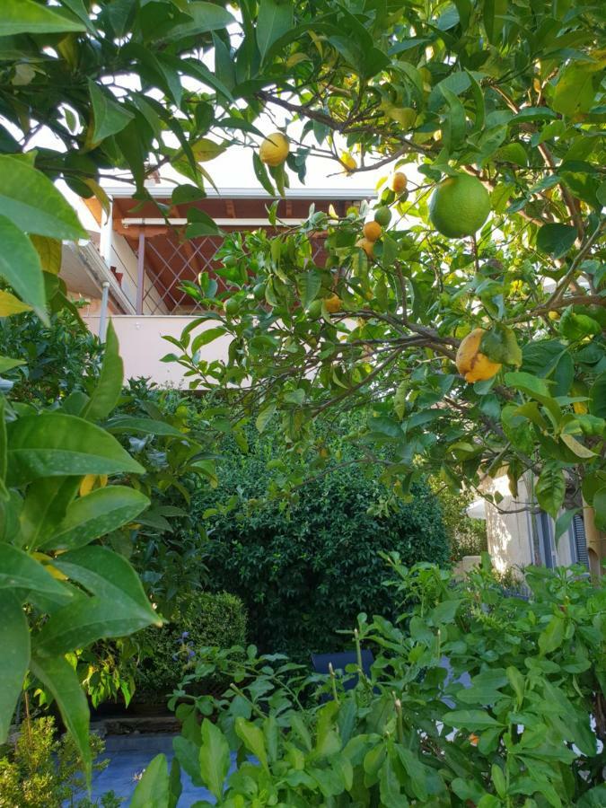The Jasmine House Villa Préveza Kültér fotó